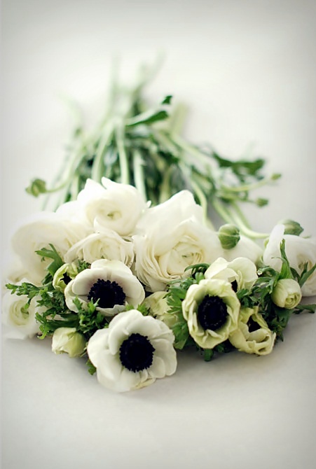 Ramo de flores blancas